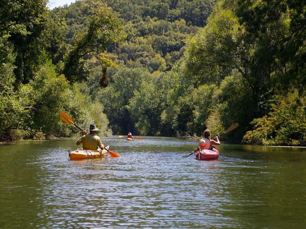 kaqk-reka