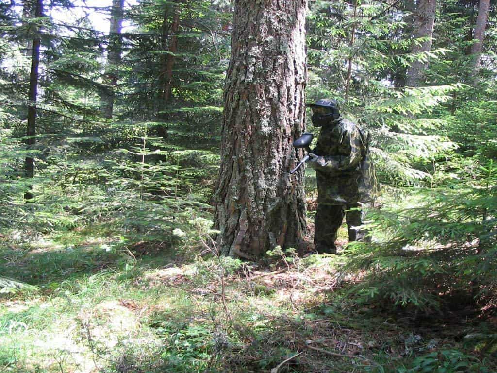 scenarien paintball chepelare pamporovo